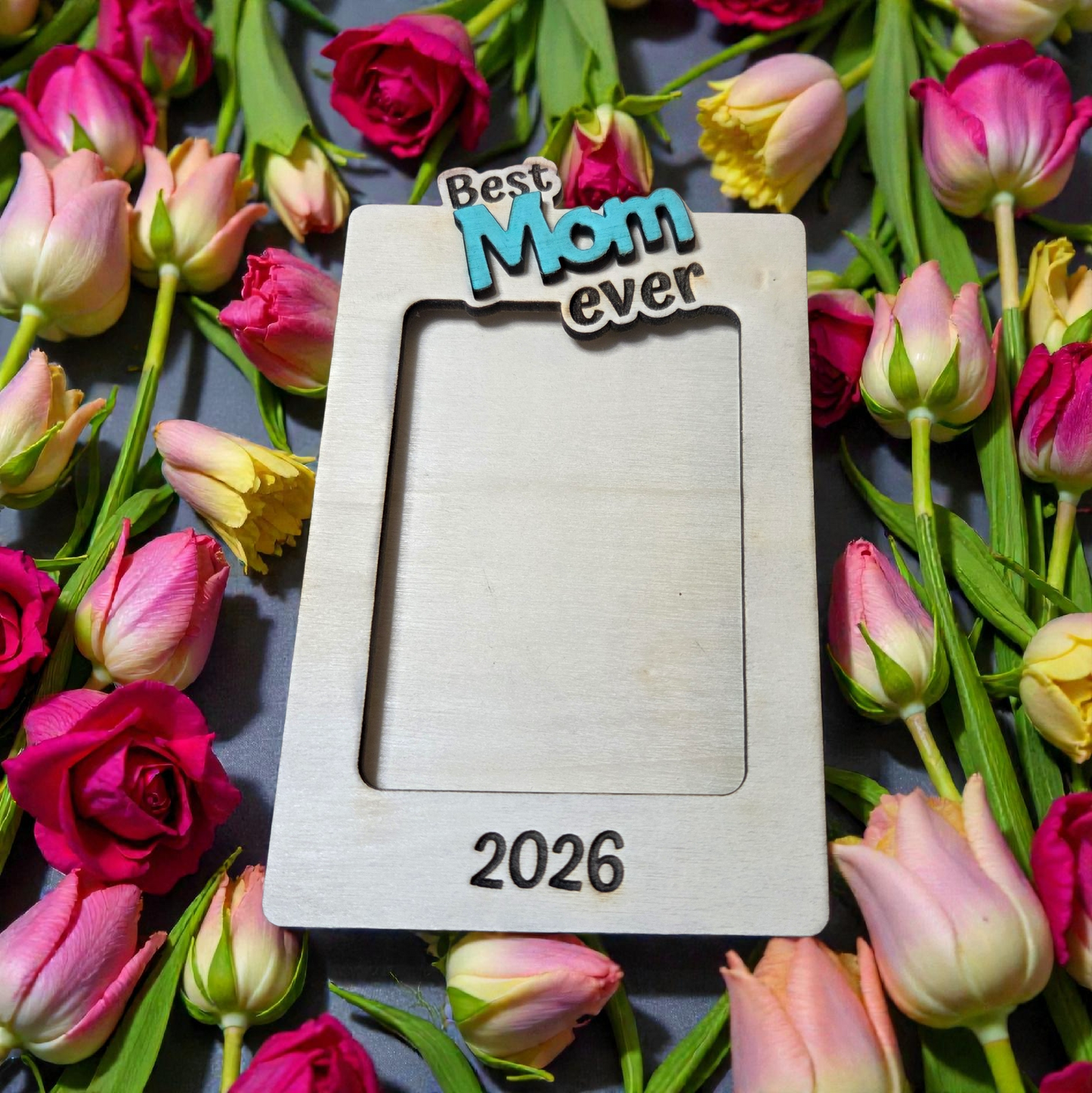 Visor Clip Photo Frames